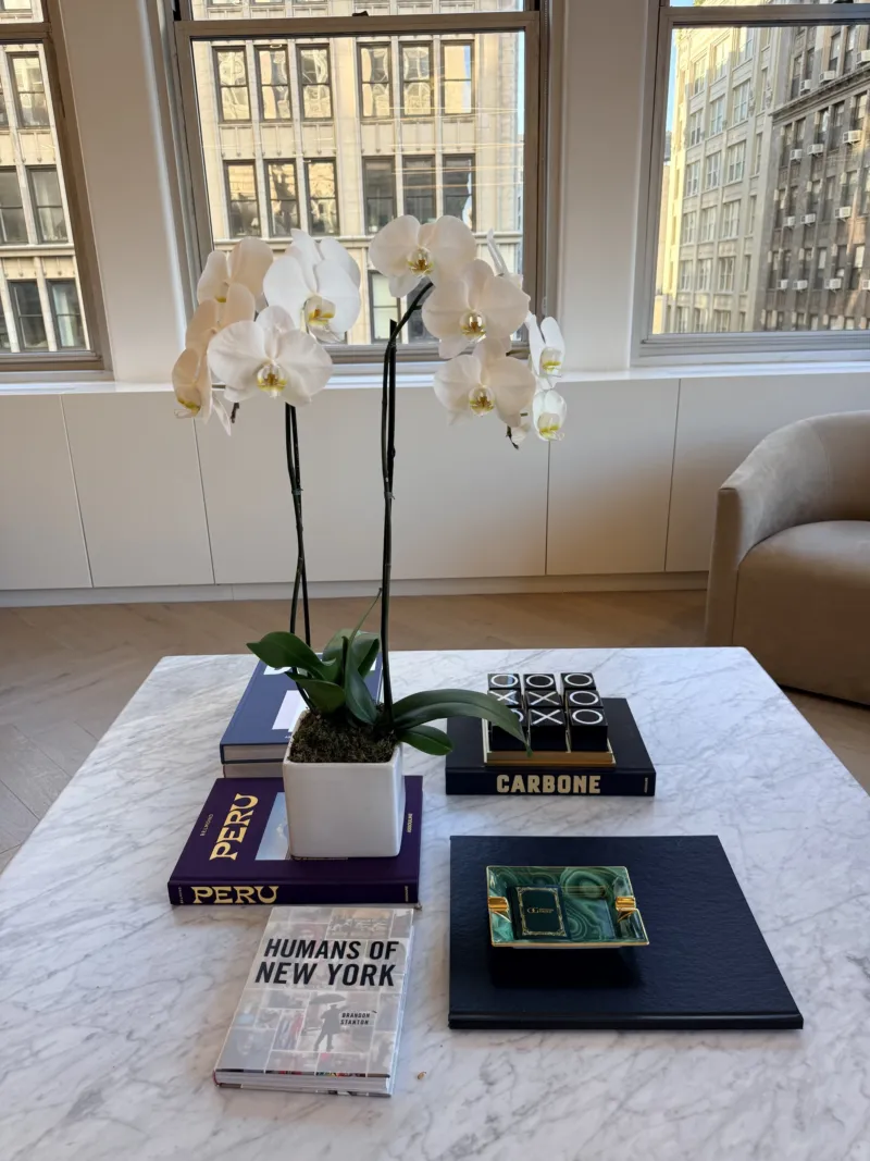 White orchid and New York books styled on a marble coffee table by the windows